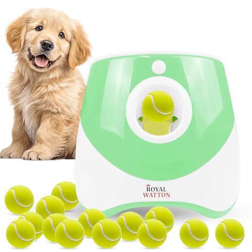 Automatic Ball Launcher for Dogs with 10 Tennis Balls (2 inch), Dog Ball Launcher with 3 Range Modes (10/20/30ft), Rechargeable Dog Balls Thrower for Small-Medium Dogs,Indoor/Outdoor Pet Fetch Machine - color: Green
