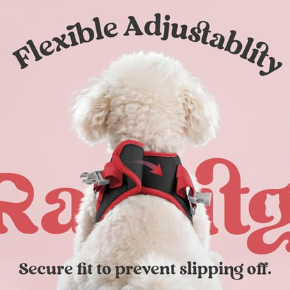 rabbitgoo Dog Harness Small Sized and Leash Set, Step-in Breathable Pet Harness, Soft Walking Reflective Puppy Vest for Small Dogs, Black & Red, XS - color: Black & Red, size: XS (Chest: 13.3 - 15.5")