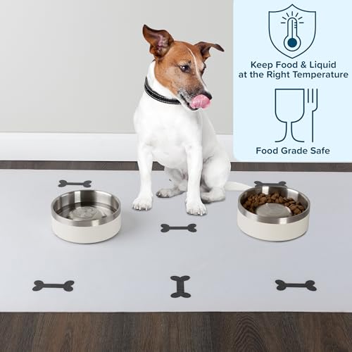 Set of 2 Stainless Steel Slow Feeder Dog Bowls - 30oz/3.75 Cups Double Wall Insulated Food and Water Bowls for Dogs - Non Slip Metal Pet Dishes for Small-Medium Sized Pets PETMAKER (Cream) - size: 30oz