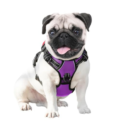 PHOEPET No Pull Dog Harnesses for Small Dogs Reflective Adjustable Front Clip Vest with Handle 2 Metal Rings 3 Buckles [Easy to Put on & Take Off](S, Purple) - color: Purple, size: Small