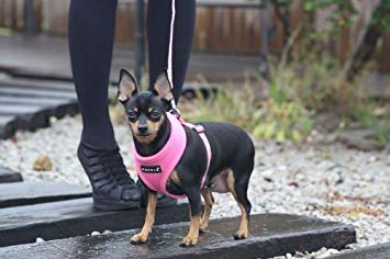 Puppia Soft Dog Harness No Choke Over-The-Head Triple Layered Breathable Mesh Adjustable Chest Belt and Quick-Release Buckle, Brown, XX-Large - color: Brown, size: XX-Large