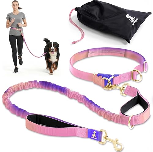 SparklyPets - Hands Free Dog Leash with Reflective Stitches - Waist Leash for Female Dog Walking, Hiking, Training, Jogging, Canicross, Running - Medium & Large Dogs, Gradient Pink - color: Gradient Pink, size: 1 dog M/L