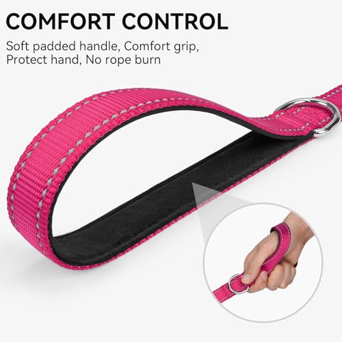Joytale Dog Leash, 4 FT Double-Sided Reflective, Padded Handle Nylon Heavy Duty Leashes for Small Dogs Walking, Hotpink - color: Hotpink, size: 4 ft Narrow