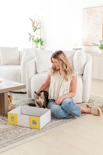Timmy The Cat’s XL Cardboard Cat Scratcher Box - Snarky Pets Cat Scratch Lounge & Cat Bed - Durable Corrugated Scratch Pad for Large Cats & Chonks-Flat Pack with one pad