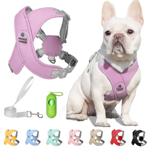 Dog Harness with Leash Set Adjustable Soft Padded Step-in Dog Vest No Choke No Pull Reflective for Small Pets with Poop Bags and Dispenser, Solid and No-chew, Purple XS - color: Purple, size: XS (Neck 16-19.1'' Chest 18.8-21.5'')