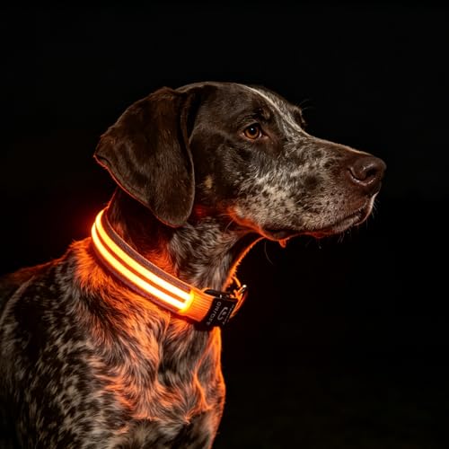 Dog Light up Collar for Night Walking - High Visibility LED Dog Collar - Rechargeable - Waterproof - Reflective - Adjustable Lighted Glow Collars(Orange, Large) - color: Orange, size: Large (18" - 23")