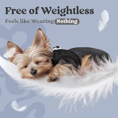 rabbitgoo Small Dog Harness, Step-in Soft Mesh Puppy Vest with Safety Buckle, Breathable Reflective Pet Harness for Small Sized Dogs, Black S - color: Black, size: S(chest:15.1"-16.5")