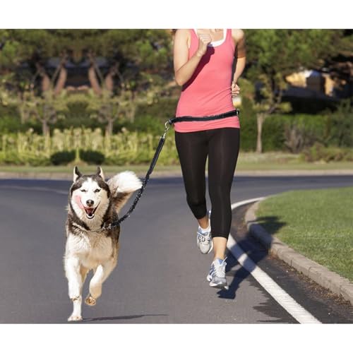 39.30Inch Bungee Dog Leash Waist,Hands Free Dog Leash Slip for Walking Hiking Running (Lumbar Waist Belt 26"-43")