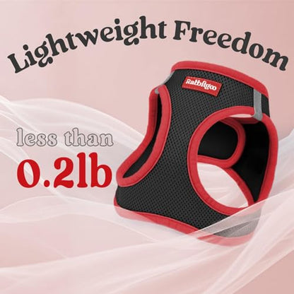 rabbitgoo Dog Harness Small Sized and Leash Set, Step-in Breathable Pet Harness, Soft Walking Reflective Puppy Vest for Small Dogs, Black & Red, XXS - color: Black & Red, size: XXS (Chest: 12.4 - 14.2")