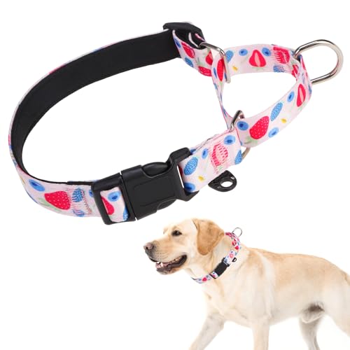 KOOLTAIL Martingale Collar for Dogs for Small Medium Large Dogs, Soft Padded Nylon No Pull Dog Collar with Buckle, Adjustable No Slip Heavy Duty Durable Puppy Training Collar for Boys Girls, Pink M - color: Pink, size: Medium
