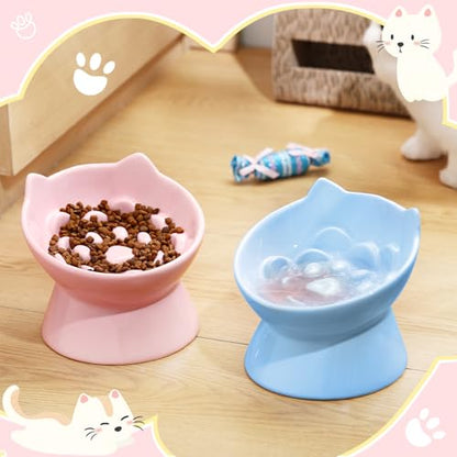 Funnymoom 2 Pcs Ceramic Raised Slow Feeder Cat Bowl, 5.91inch Elevated Cat Slow Feeder Bowl Tilted Anti Vomiting for Dry Wet Food and Water Easy to Clean High Edge(Pink, Blue) - color: Pink, Blue