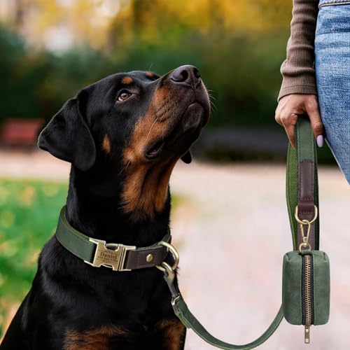 Personalized Dog Collars, Custom PU Leather Dog Collar with Name&Phone Number, Engraved Dog Collar for Large Dogs, Adjustable Durable Collar with Quick Release Metal Buckle, Greene,XL - color: Green, size: Xl: Neck 20-27", Width 1.2"