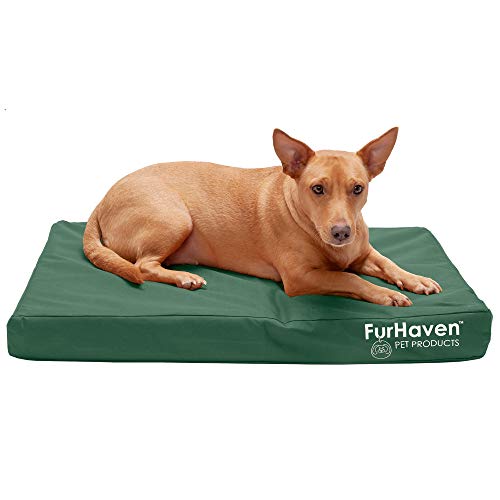 Furhaven Indoor/Outdoor Logo Oxford Polycanvas Mattress - Water-Resistant Orthopedic Dog Bed w/ Removable Cover, 125 lb max - Forest, Medium - color: Water-Resistant Logo Print (Forest), size: Medium