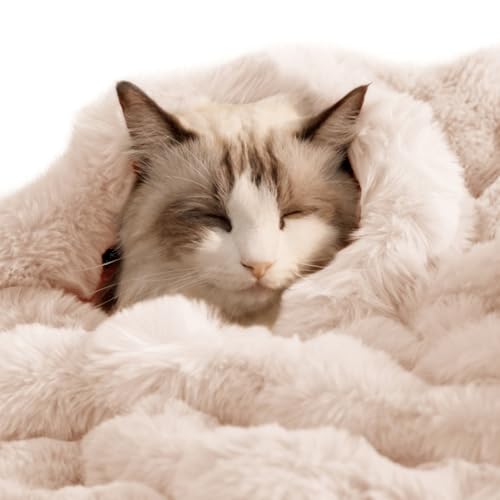 Pet Blanket, Reversible Sherpa & Bubble Fleece Pet Throw, Ultra-Soft Plush for Cats & Small Dogs, Machine Washable, Anti-Static, Warm & Cozy,28"×22" Inch White - color: White, size: 28"L x 22"W Inches
