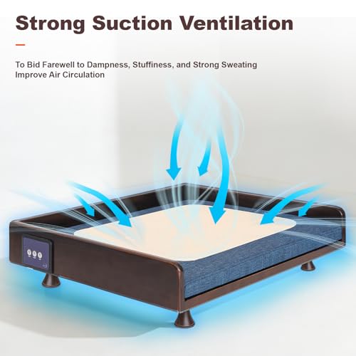 Smart Pet Bed, Downward Suction Ventilation, 3-Speed Cooling and Warmth, Solid Wood Frame, Touch Control, 3-Color Ambient Light, Removable Washable Pad, All-Season Pet Sofa for Cats and Dogs