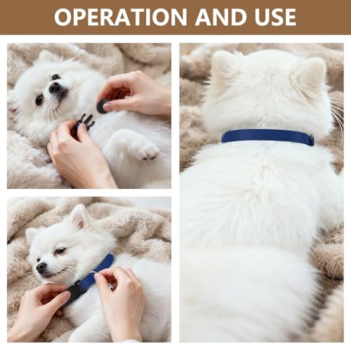 Sapphire Adjustable Pet Collar, 2 Pack Kitten Collar with Bell - color: Sapphire