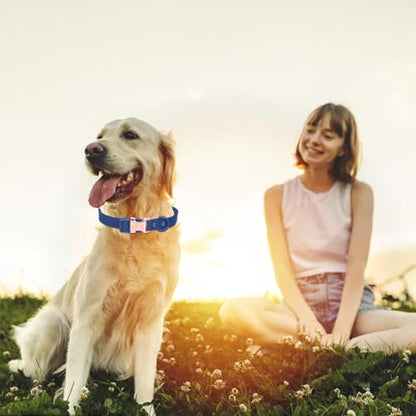 Waterproof Dog Collar with Safety Metal Buckle, Durable and Easy to Clean Soft Rubber Dog Collar, Adjustable Pet Collars for Small Medium Large Dogs - color: Dblue, size: S