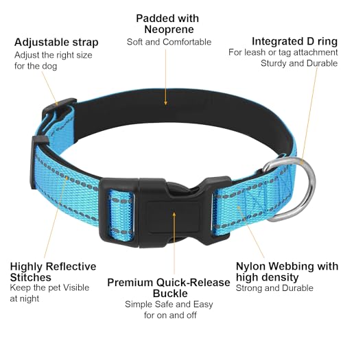 Dog Collars Adjustable for Puppy and Small Dogs, Heavy Duty Waterproof with Quick Release Buckle, Reflective Nylon Collar with Soft Neoprene Padded, XS, Sky Blue - color: Sky Blue, size: X-Small