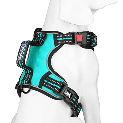 PoyPet No Pull Dog Harness, No Choke Front Clip Reflective Dog Vest with Soft Padded Vertical Handle, 3 Leash Attachments for Small Medium Large Dogs (Mint Blue,M) - color: Mint Blue, size: Medium