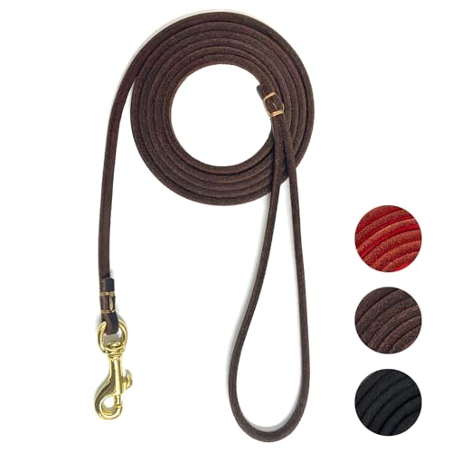 Guiding Star Leather Dog Leash 6 ft x 1/4 inch,Thin and Lightweight Leather Leashes for Small Dogs,Leather Cat Leashes for Small Cats,Soft Genuine Leather Dog Training Leashes for Petite Dogs Brown - color: Brown, size: Basic Leash