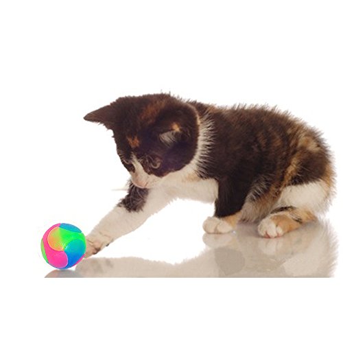 2Pcs Light Up Dog Balls,LED Dog Ball,Glow in The Dark Dog Ball,Flashing Elastic Pet Toys for Puppy, Cats, Dogs - color: 2 pcs smooth balls