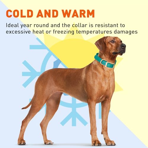 Viper Biothane Heavy Duty Waterproof Dog Collar Strong Coated Nylon Webbing w/Solid Brass Hardware Odor-Proof for Easy Care Easy to Clean High Performance Fits Small Medium or Large Dogs, Blue Aqua