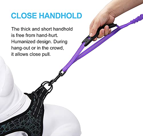 6FT Highly Reflective Heavy Duty Elastic Bungee Medium and Large Dog Leash Shock Absorbing with Comfortable Padded Handle and Traffic Handle Suitable for Training - color: Purple