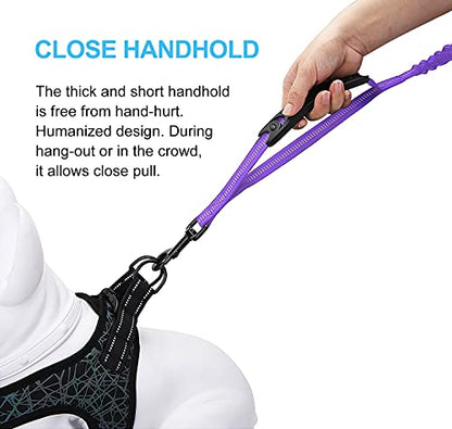 6FT Highly Reflective Heavy Duty Elastic Bungee Medium and Large Dog Leash Shock Absorbing with Comfortable Padded Handle and Traffic Handle Suitable for Training - color: Purple