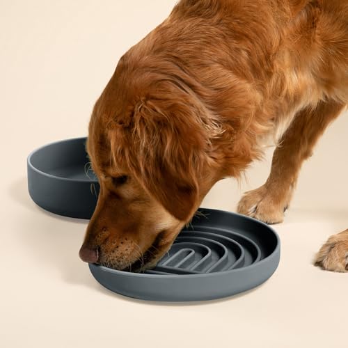 Should We Go? Slow Feeder for Dogs & Puppies, The Slowdown Bowl Silicone Slow Eating, Modern Lick Mat Design, Reduces Gulping, Fits 2.5 Cups 9.5” Across x 1.5” Tall, Mealtime Challenge, Large-Charcoal - color: Charcoal - Rainbow Design, size: Large (9.5”