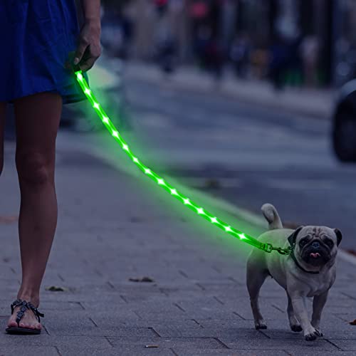 Weesiber Glowing Light Up LED Dog Leash - 4ft USB Rechargeable Flashing Nylon Leash for Small Medium Large Dogs, 3 Flash Modes (Green) - color: Green
