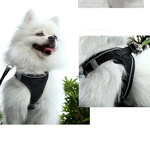 Dog Harness and Leash Set, No Pull Soft Mesh Pet Harness, Reflective Adjustable Puppy Vest for Dogs/Cats - color: Black, size: Small