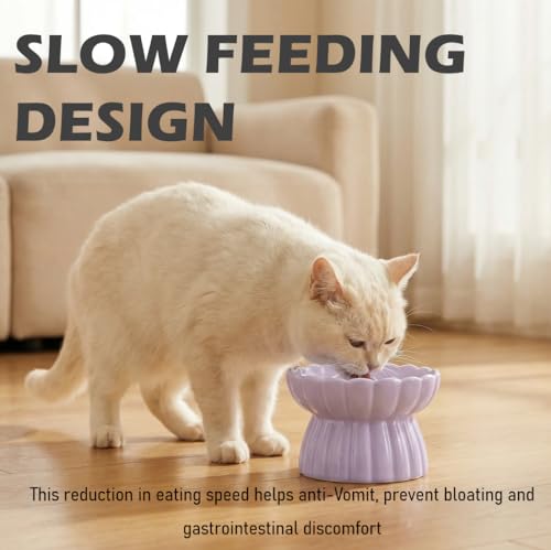Ceramic Cat Slow Feeder, Raised Slow Feeder Cat Bowl, Anti Vomiting and Whisker Friendly Kitty Dish, Elevated Puppy Kitten Food Bowl for Dry and Wet Food (Purple) - color: Purple