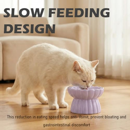 Ceramic Cat Slow Feeder, Raised Slow Feeder Cat Bowl, Anti Vomiting and Whisker Friendly Kitty Dish, Elevated Puppy Kitten Food Bowl for Dry and Wet Food (Purple) - color: Purple