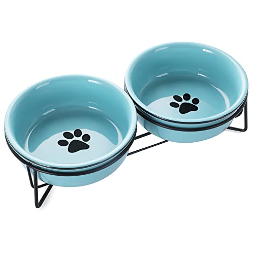 GDCZ Ceramics Raised Cat Bowls with Heighten Metal Stand,15 Ounces Turquoise - color: Turquoise