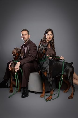 NOAH & PAW Leather Dog Leash, Premium Oil-Waxed Leather Braided, 8 ft Long Dog Leash with 6 Ways to Use Hands-Free, Quick-tie, Double Pet Lead Etc. Matching Collar Available. (Dark Green) - color: Dark Green