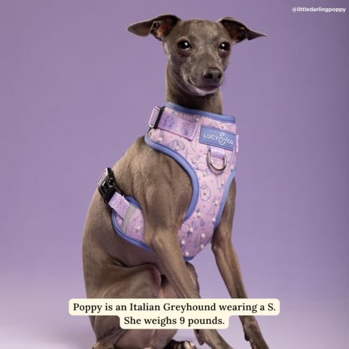 Lucy & Co. Magnificent Mermaids Pearl No-Pull Dog Harness, Adjustable Front Clip Harness with Comfort Padding, Small - color: Magnificent Mermaid, size: Small