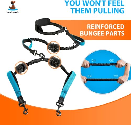 SparklyPets - Hands Free Dual Dog Leash for Medium and Large Male Dogs - Padded Handles, Reflective Stitches, No Pull, Tangle Free - Walking, Hiking, Jogging, Canicross Waist Leash - Gradient Blue - color: Gradient Blue, size: 2 dogs M/L