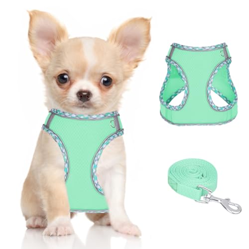 Dog Harness for Small Medium Dogs No Pull Adjustable Step in Puppy Harness and Leash Set,Reflective Breathable Mesh Pet Harnesses Soft Padded Vest for Dogs Easy to Put on (Green, XXS) - color: Green, size: XXS
