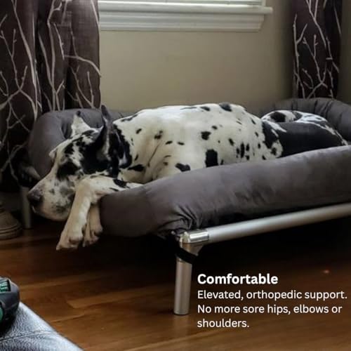 Kuranda Chewproof Elevated Dog Bed - Silver Aluminum - 30" x 20" - Heavy Duty Vinyl - Royal Blue - color: Royal, size: Small