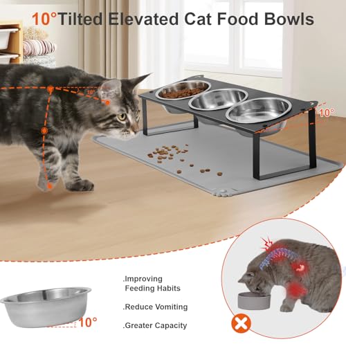 Elevated Cat Bowls with Food Mat, 10°Tilted Non-Slip Raised Cat Food Water Bowls Set, 3 Thick Stainless Steel Pets Dishes with Cute Metal Feeding Stand for Indoor Kitten Puppy, Anti-Vomiting - color: Black-3Bowls