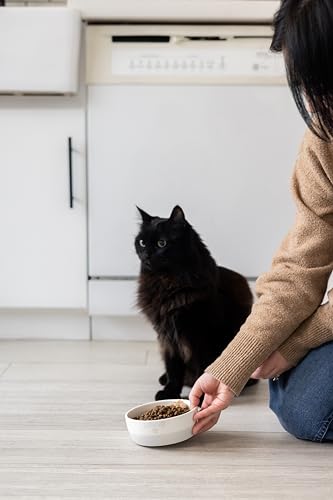 Pearhead Paws Off Ceramic Cat Bowl, Holds 1.3 Cups, Small Food and Water Bowl for Cats, Pet Dish, Microwave and Dishwasher Safe (Pack of 2) - color: Gray "Paws Off", size: Bowl Set