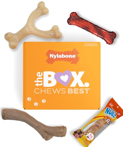 Nylabone Dog Gift Box, Includes 3 Strong Chew Toys and 1 Natural Treat, Gifts for Dogs, Small - Up to 25 lbs, 4 Pack - size: Small (4 Count)