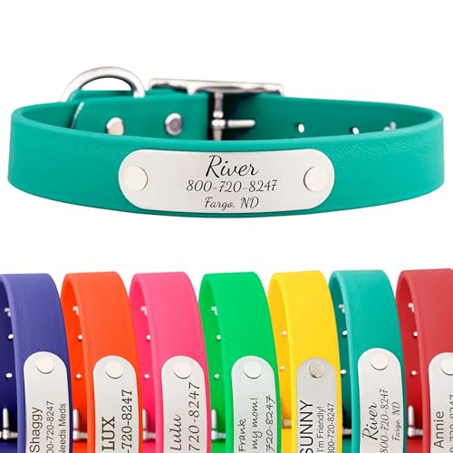 dogIDs Personalized Dog Collar – Custom Waterproof Soft-Grip Biothane with Laser-Engraved Nameplate, Durable & Odor-Resistant, USA Made | Teal, 1 in x 16 in (Fits Necks Size 14-18 in) - color: Teal, size: 1 in x 16 in (Fits Necks Size 14-18 in)