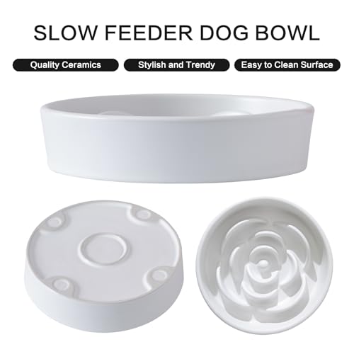 8.25'' Ceramic Slow Feeder Dog Bowls - Petal Shape Modern Dog Food Dish for Medium and Large Breeds, Puzzle Maze Bowl to Slow Down Eating, Anti-Gulping, Dishwasher & Microwave Safe, White - color: White, size: 8.25 inch