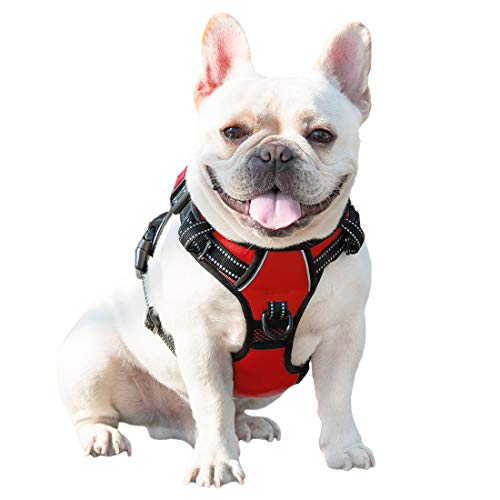 PHOEPET No Pull Dog Harnesses for Small Dogs Reflective Adjustable Front Clip Vest with Handle 2 Metal Rings 3 Buckles [Easy to Put on & Take Off](XS, Red) - color: Red, size: Extra Small