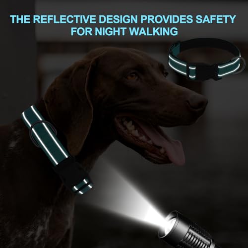 Dog Collars Adjustable for Puppy and Small Dogs,Heavy Duty Waterproof Dog Collar with Quick Release Buckle,Girl Boy Female Male Reflective Nylon Dog Collar with Soft Neoprene Padded,XS,Turquoise - color: Turquoise, size: X-Small