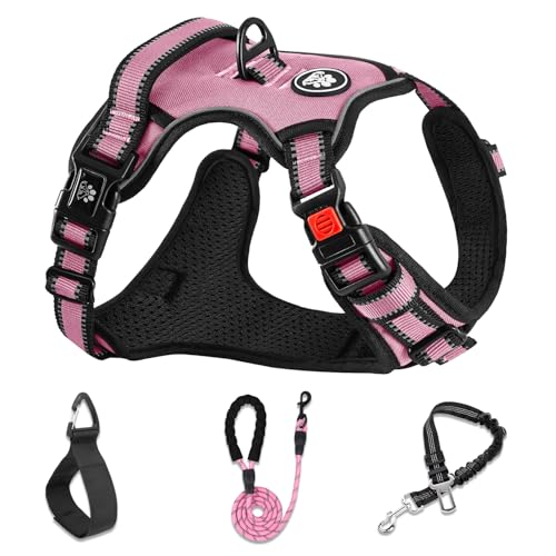 No Pull Dog Harness,Adjustable Oxford Dog Vest Harness with Leash,Reflective No-Choke Pet Harness with Easy Control Soft Handle for Small Dogs(X-Small,Pink) - color: Pink, size: 【XS】neck 10-11" chest 13-17"