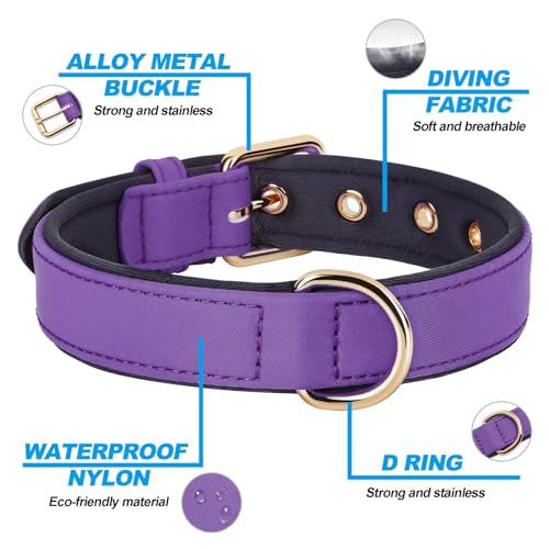 Didog Soft Padded Dog Collars for Small Dogs, Lightweight and Breathable Purple Dog Collar with Metal Buckle, Purple, M - color: Purple, size: M: Fit 11-15" Neck