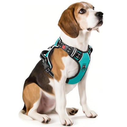 No Pull Dog Harness, Release at Neck Reflective 3 Snap Buckles Adjustable No Choke Pet Vest with Front & Back 2 Leash Clips, Soft Padded Control Training Handle for Small Medium Large Dogs - color: Lock-Turquoise, size: Medium (Pack of 1)