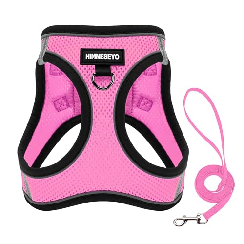 Dog Harness and Leash Set, Dog Harness for Dogs No Pull, No-Chock Step-in Reflective Breathable Lightweight Easy Walk Vest Harnesses with Safety Buckle for Small Medium Dogs, Cats (Pink, XS) - color: Pink, size: XS